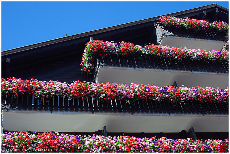 Flowered balconies