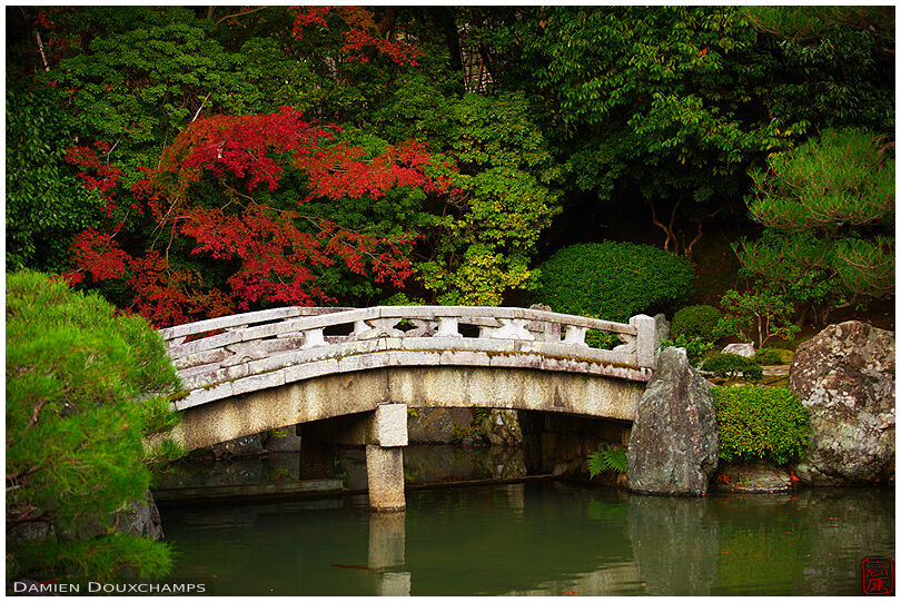 Stone bridge and autumn colors