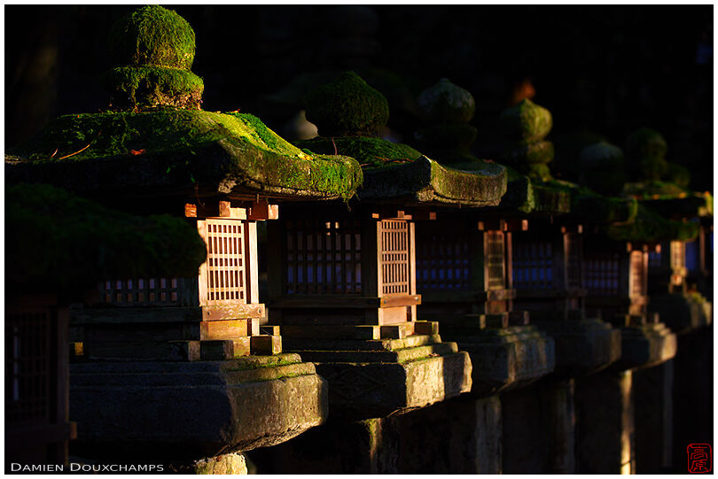 A row of stone lanterns