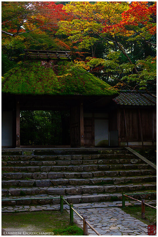 Mossy thatched roof of a temple gate