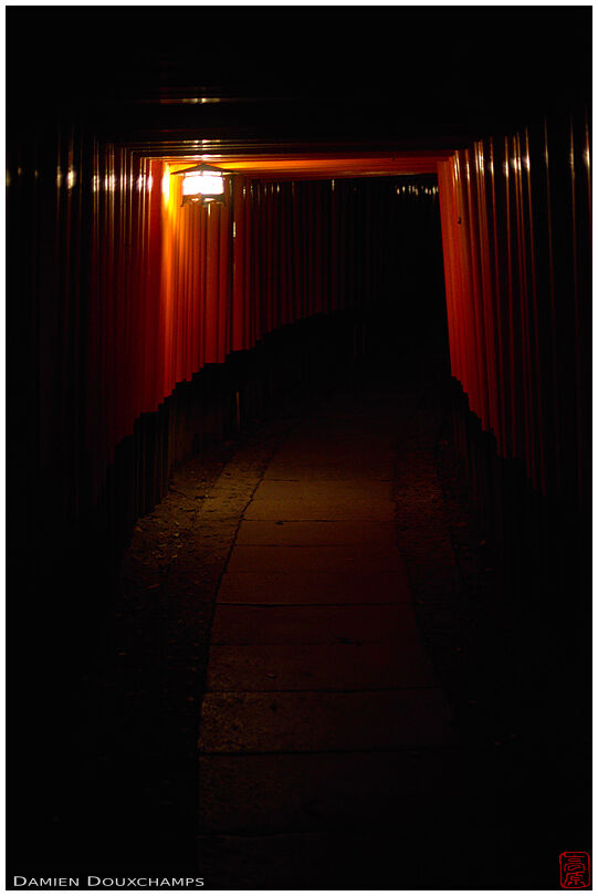 Path under numerous torii at night