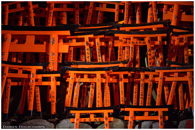 Multitudes of small torii