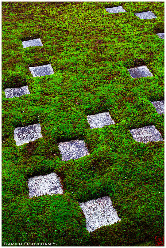 Random stones on moss garden (Tofuku-ji 東福寺)