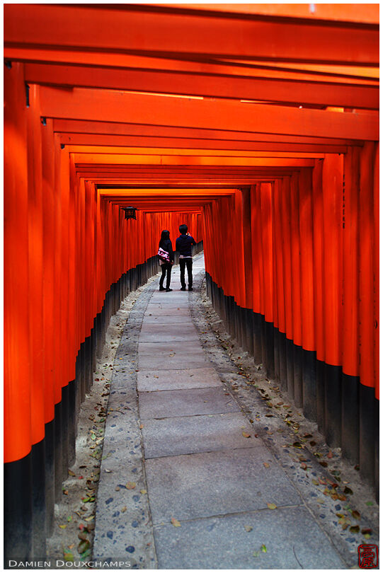 Young couple dating in torii covered path (Fushimi Inari shrine 伏見稲荷大社)