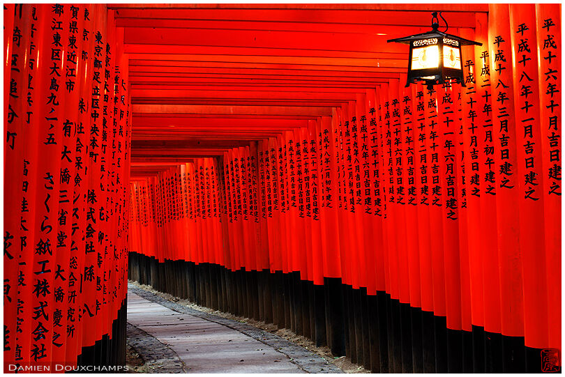 Lantern in torii covered path (Fushimi Inari shrine 伏見稲荷大社)