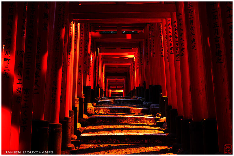 Climbing path under torii at night (Fushimi Inari shrine 伏見稲荷大社)