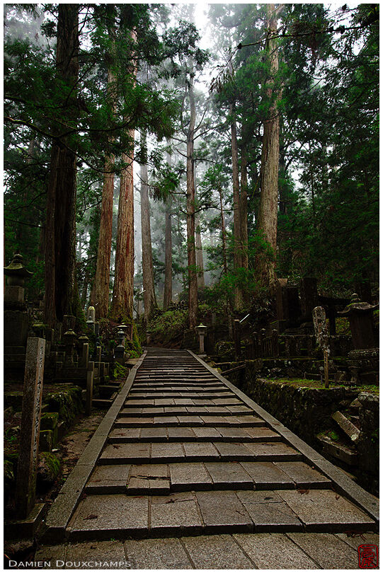 Alley in the forest of Okuno-in cemetery