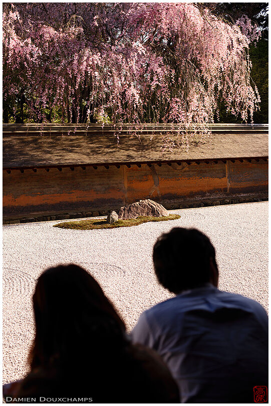 Couple meditating in Ryoan-ji's rock garden (竜安寺)