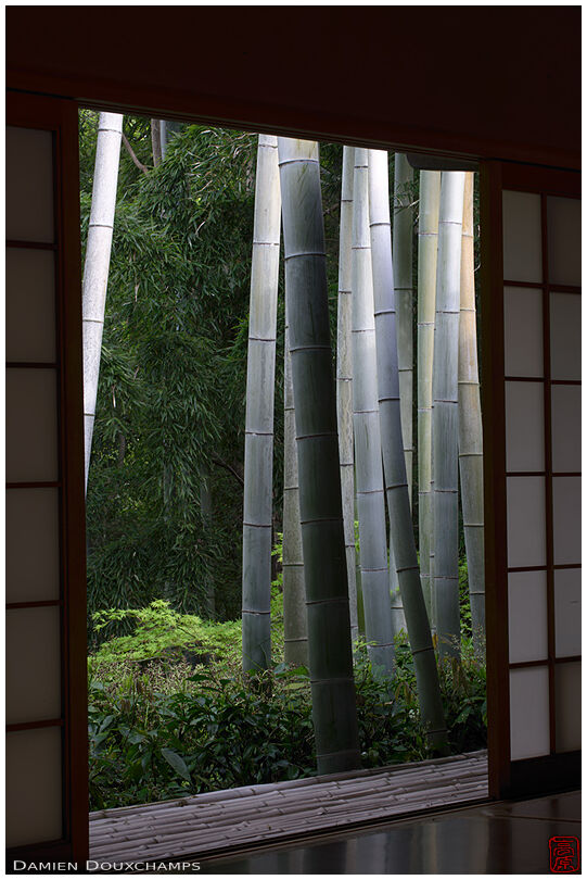 Window on bamboo forest, (Okochi Sanso villa 大河内山荘)