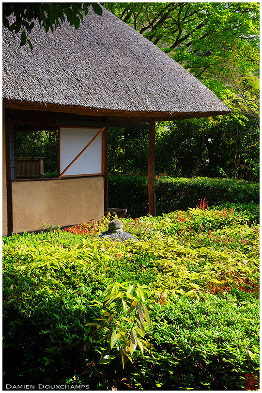 Tea room in temple garden (Konpuku-ji 金福寺)