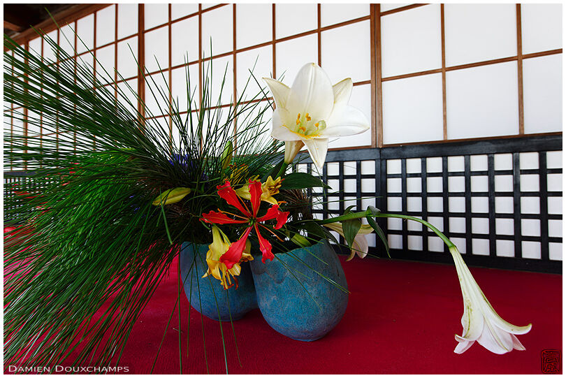Ikebana showcase in Daikaku-ji (大覚寺)