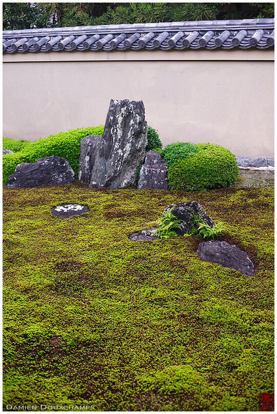 Rock and moss garden, Ryogen-in (龍源院)
