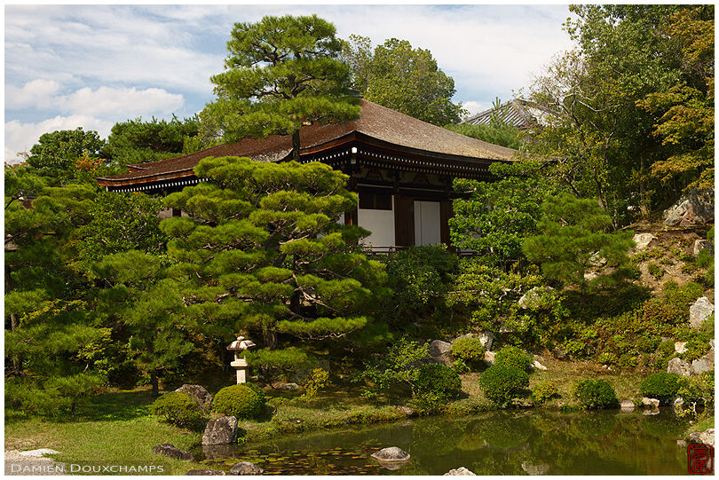 Zen garden, Ninna-ji (仁和寺)