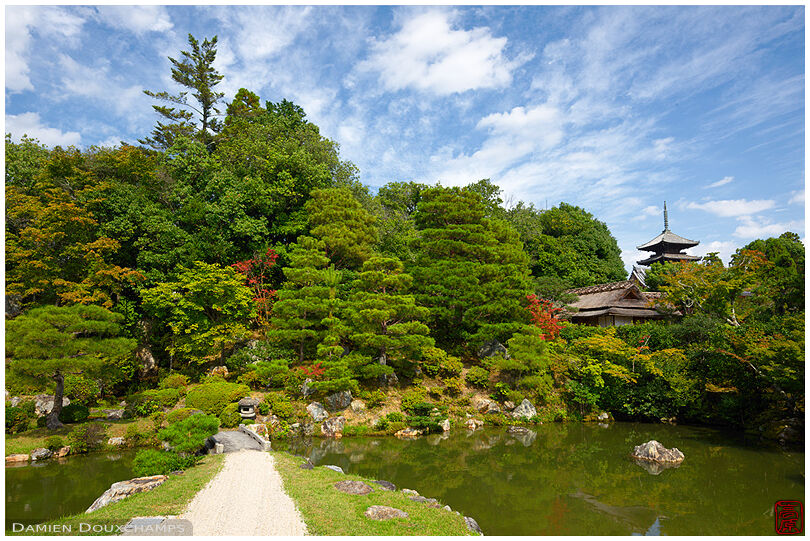 Path in zen garden, Ninna-ji (仁和寺)