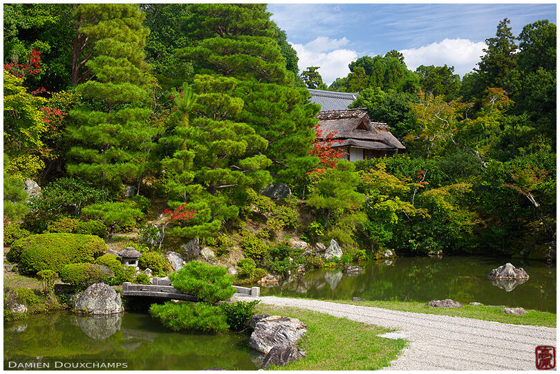 Stone bridge in zen garden, Ninna-ji (仁和寺)