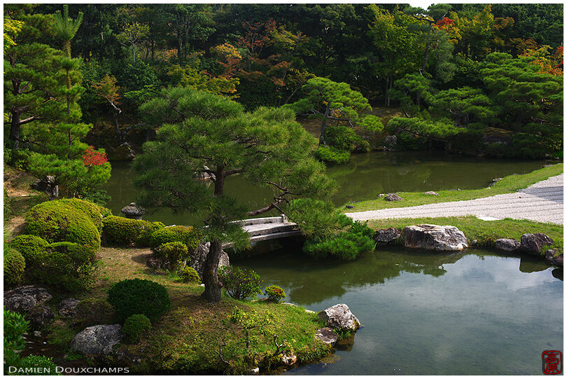 Zen garden, Ninna-ji (仁和寺)