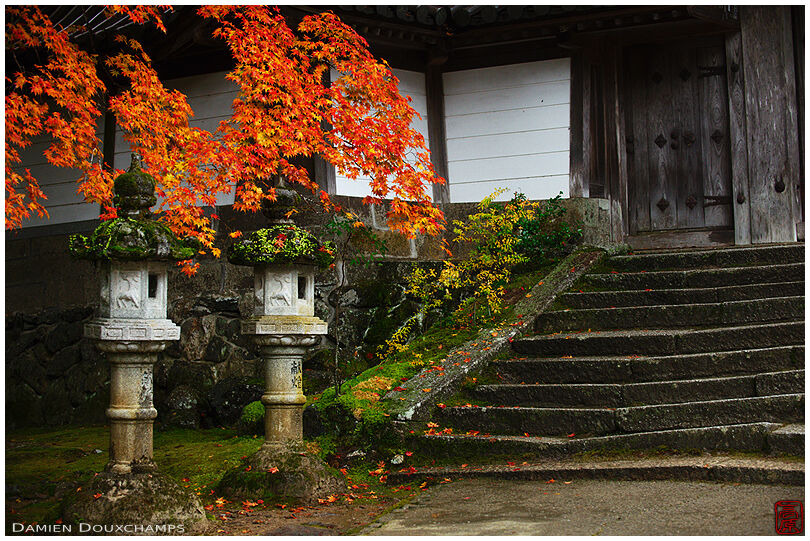 Lantern and maple tree in autumn at the entrance of Saimyo-ji (西明寺)