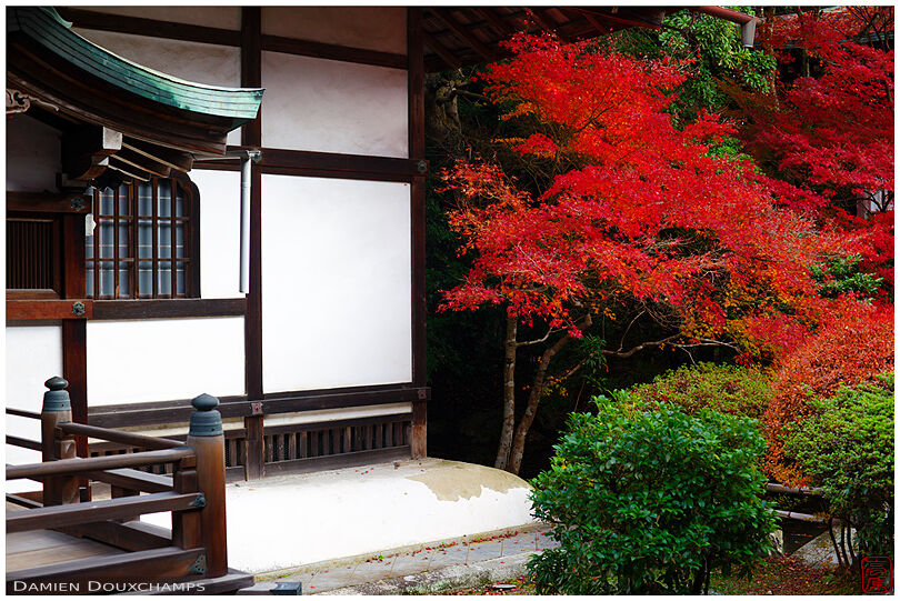 Temple buildings in autumn (Bishamon-do 毘沙門堂)