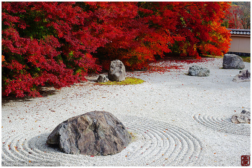 Rock garden in autumn (Jisso-in 実相院‎)