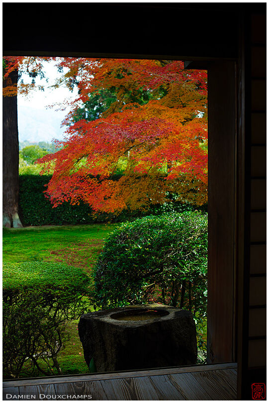 Temple terrace in autumn (Entsuu-ji 円通寺)