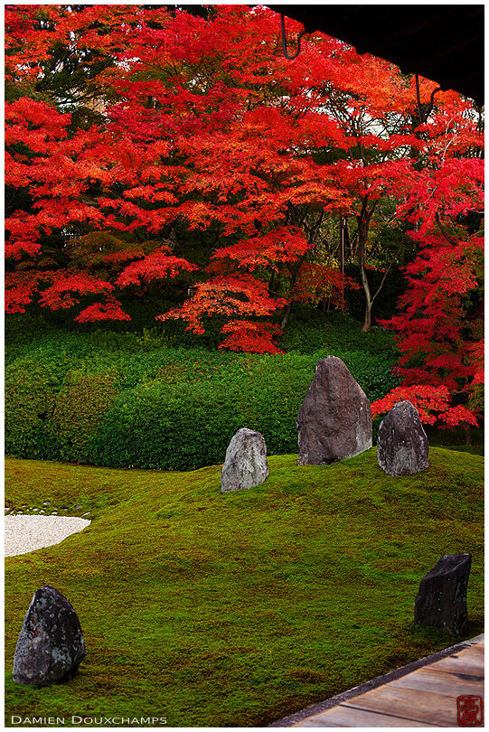 Red maple foliage over zen garden (1/2)