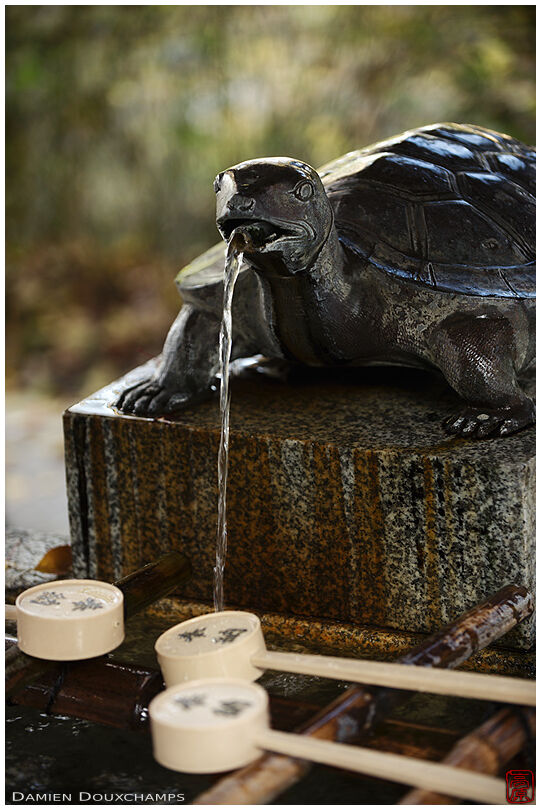Turtle-shaped water fountain (Matsuno-taisha 松尾大社)