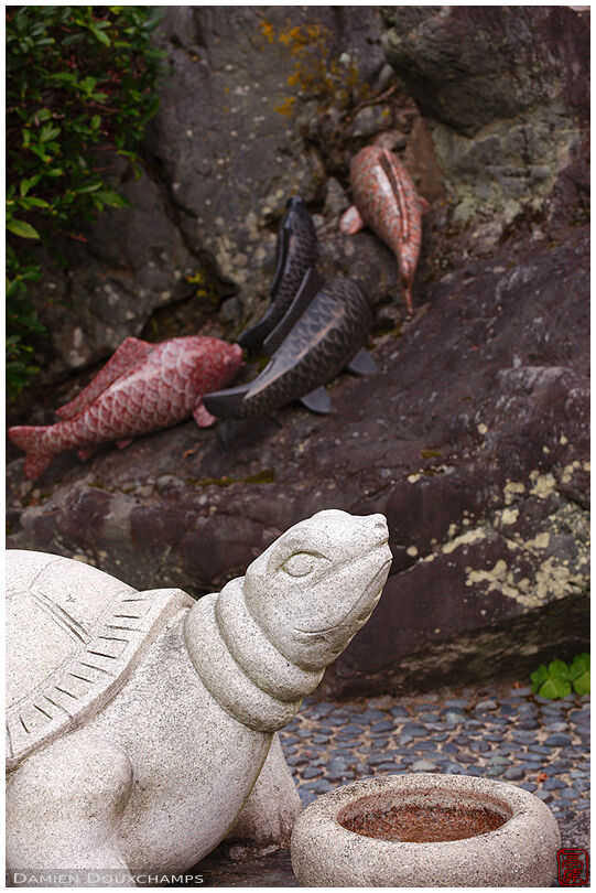 Stone works: fish and turtle (Matsuno-taisha 松尾大社)