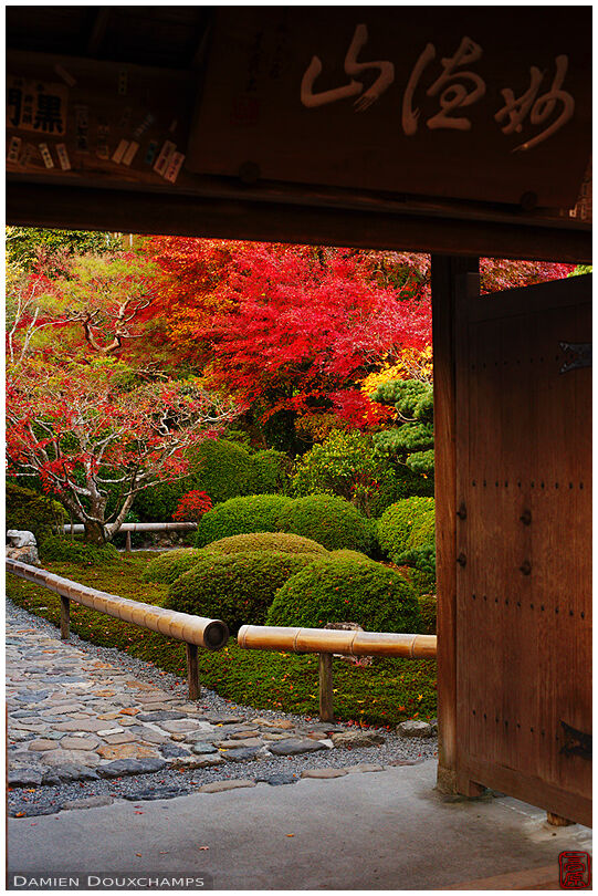 Garden entrance in autumn (Suzumushi-dera 鈴虫寺)