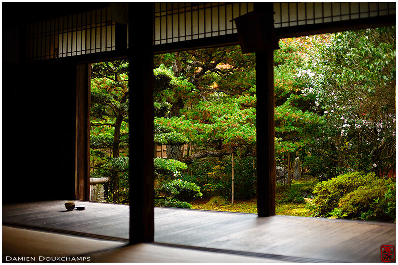 Tea bowls in meditation hall (Jizo-in 地蔵院)