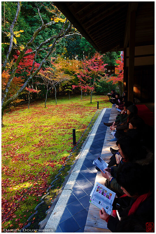 Temple terrace with visitors in autumn (Koto-in 高桐院)