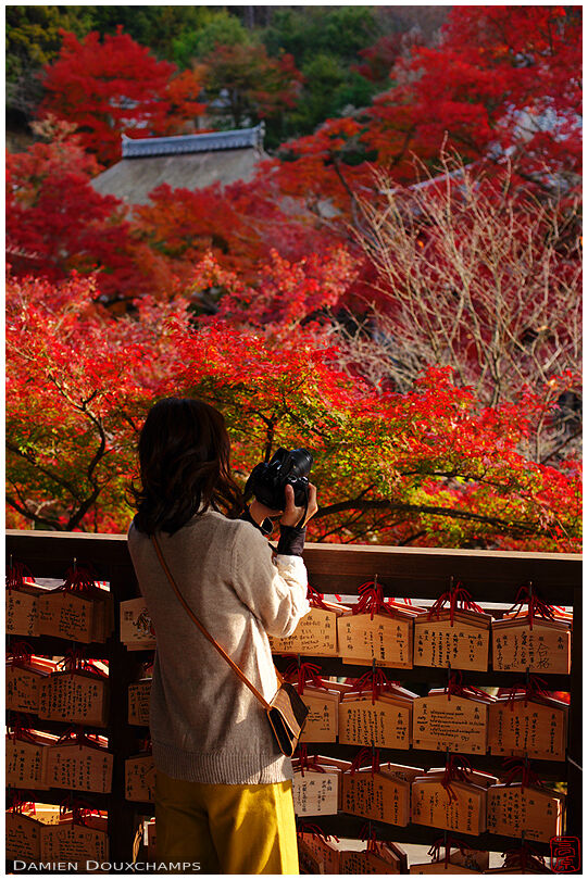 Taking pictures of autumn foliage in Kiyomizu-dera (清水寺)