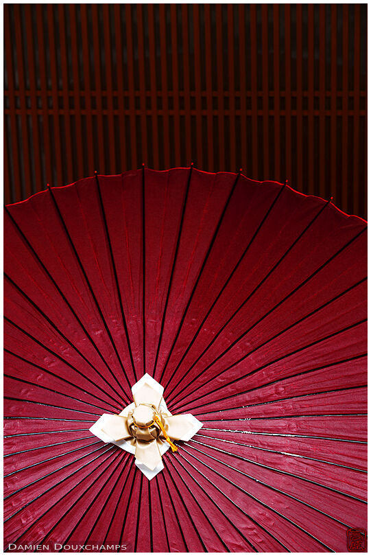 Detail of a traditional umbrella, Gion