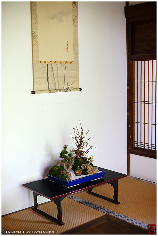 Portable zen garden  with bonzai, Koto-in