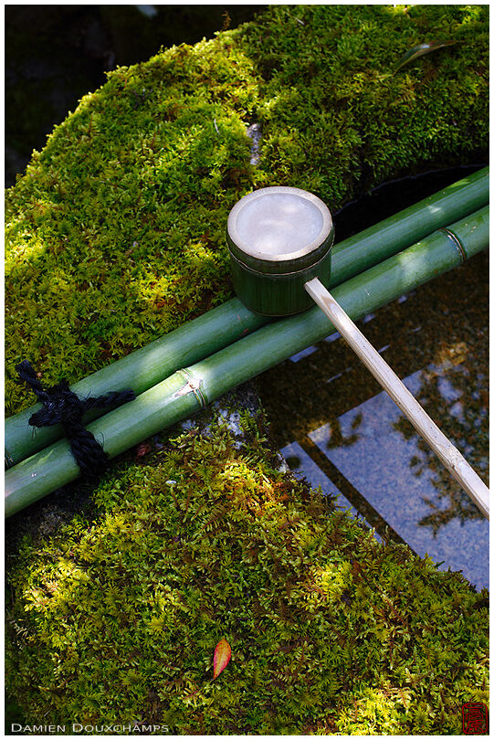 Bamboo ladle on moss-covered water basin in Koto-in gardens