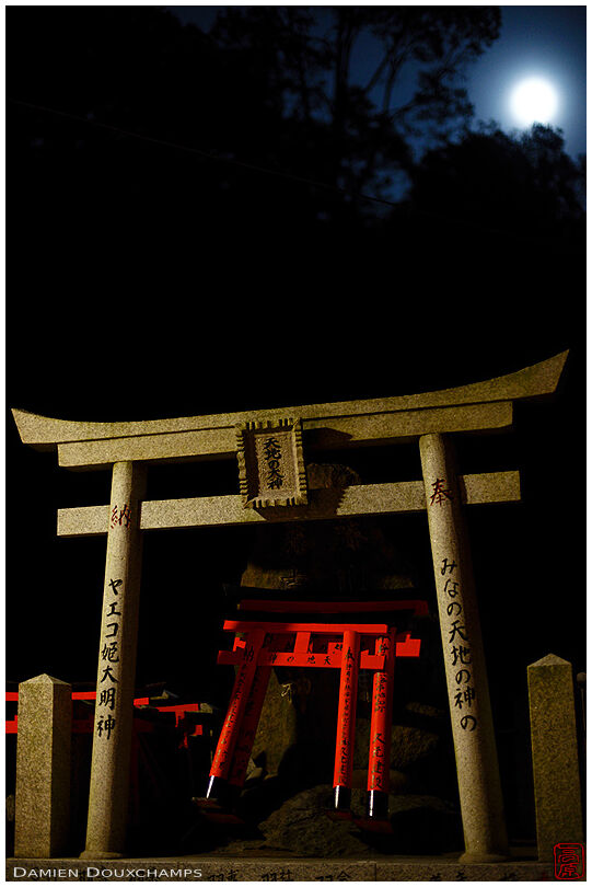 Moonlit torii, Fushimi Inari shrine, Kyoto, Japan