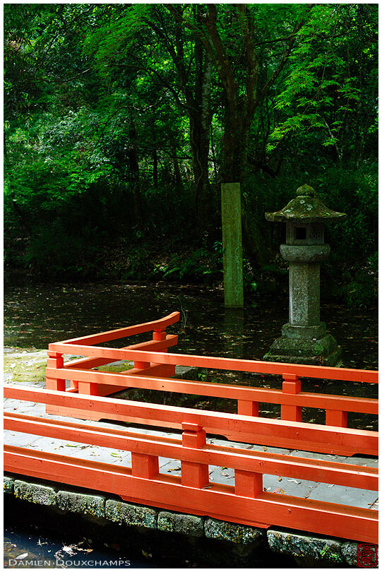 Bridge on pond with lantern, Usa-jingu