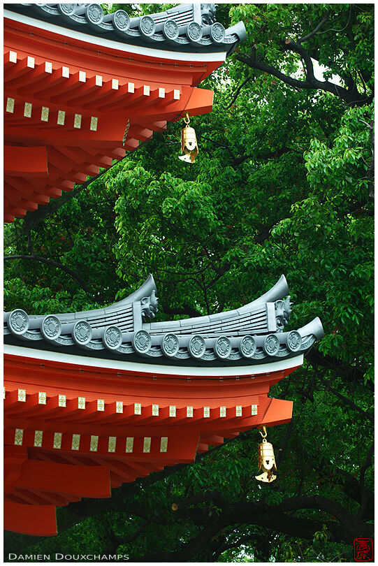 Red pagoda roof lines, Tocho-ji temple