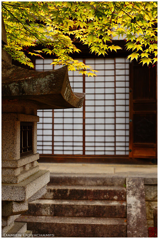 Stone lantern and yellow autumn leaves at the entrance of Hoju-ji temple, Kyoto, Japan