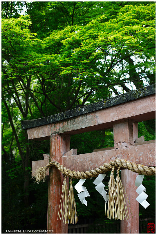 Munakata-jinja (宗像神社)