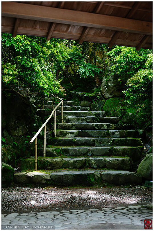 Mossy stairs leading to Ruriko-in temple