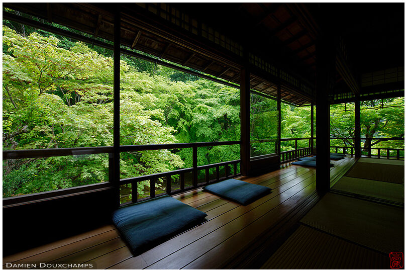 Meditation room on spring maple foliage, Ruriko-in temple