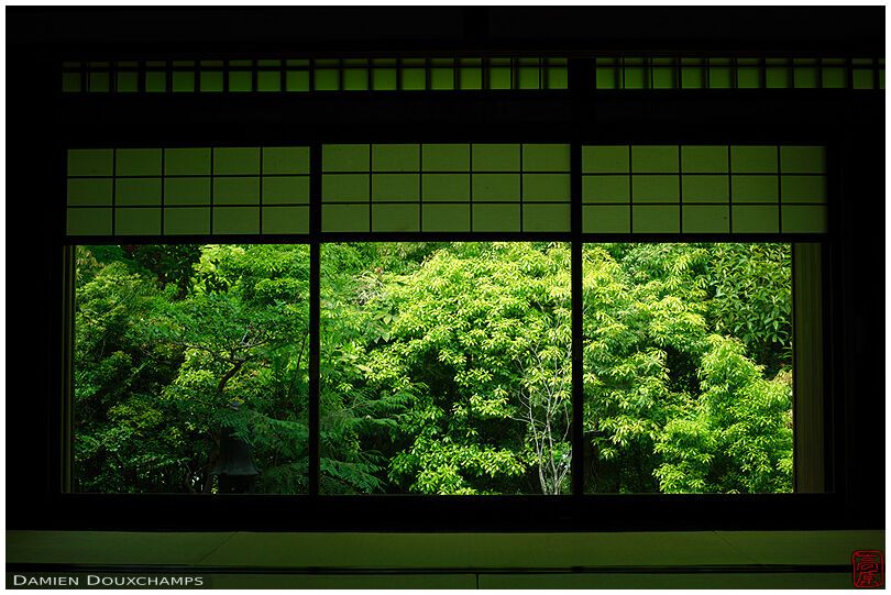 Japanese bay window on green foliage, Ruriko-in temple