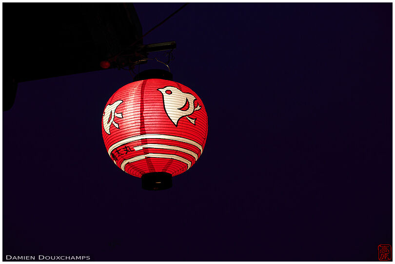 Red paper lantern with chidori bird, Gion