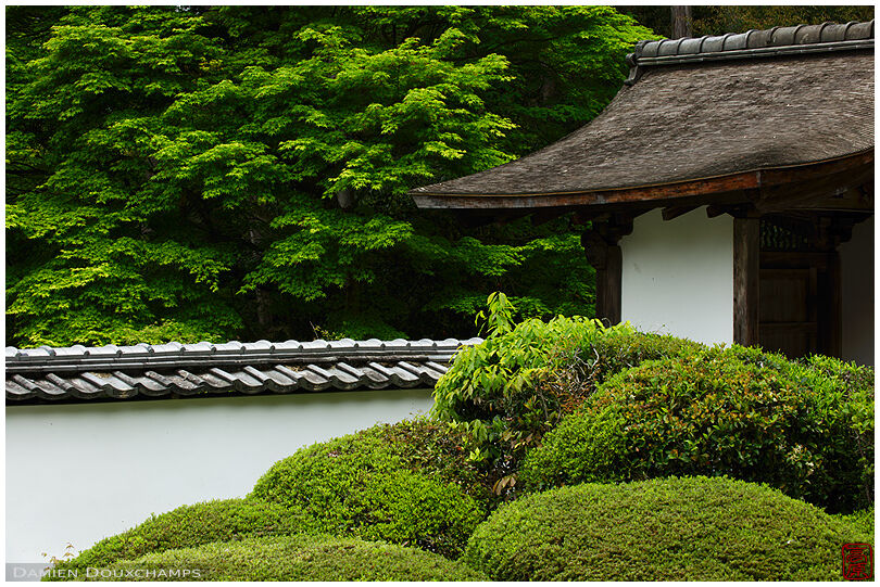 Zen garden gate, Shoden-ji temple