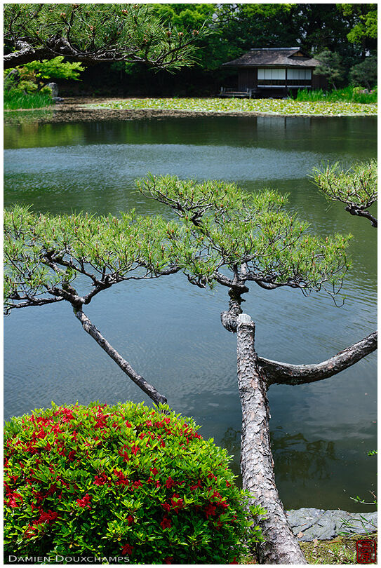 Pond with tea house, Shosei-en park