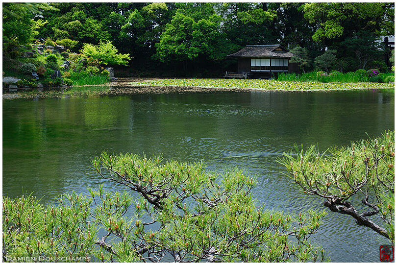 Pond with tea house, Shosei-en park
