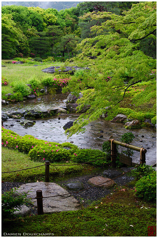 A stream in Muri-an gardens