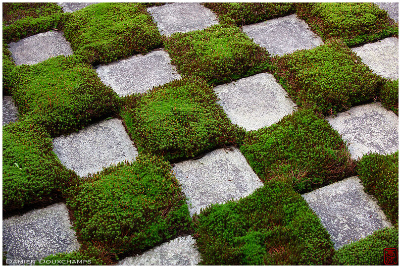 Stone and moss checker pattern in zen garden, Tofuku-ji temple