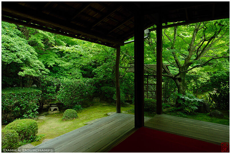 Tea room and zen garden, Keishun-in temple