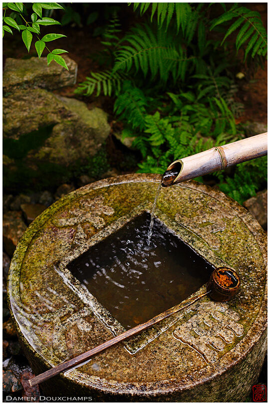 Tsukubai water basin in Ryoan-ji temple